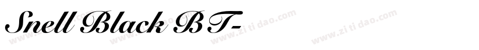 Snell Black BT字体转换